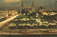 chic.gif (17548 bytes)