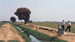 tumbes1.gif (35516 bytes)